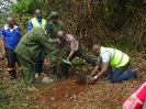 Tree Planting Exercise 